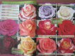 Freebie: rosebarni, free catalog