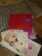 Freebie: thepostcardstore, 5 free postcards (of very nice appearance!) from G