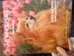Freebie: Jbpet, Free catalog of gifts for your pets