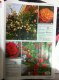 Freebie: kordes-rosen, 