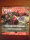 Freebie: Option, Free CD