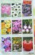 Freebie: thompson-morgan, Catalogue of seeds Thompson and Morgan