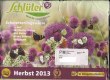 Freebie: , 