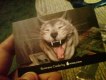 Freebie: moo, sample pack of 10 Business Cards, for free