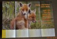 Freebie: freundesdienst, 