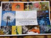 Freebie: , 