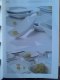 Freebie: , 