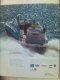 Freebie: doralboat, Free Brochure