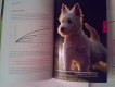 Freebie: eukanuba, 