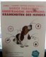 Freebie: tierfreunde, 