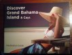 Freebie: Bahamasdiving, guidebook and DVD from the Bahama association of d