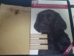 Freebie: tierfreunde, 