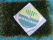 Freebie: royalgrass-erbaartificiale, free sample