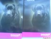 Freebie: eukanuba, 