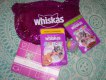 Freebie: whiskas, 