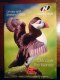 Freebie: Northlinkferries, NorthLink Ferries 2008 brochure, with timetables,