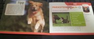 Freebie: tierfreunde, 