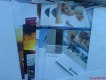 Freebie: Fenster1, free brochures